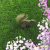 yezizkl profile picture