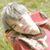 member yoongi_sta