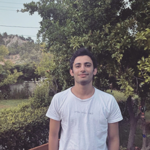 yselimb