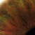 yssf profile picture