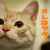 member yuichi-_-