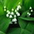 yulia_katr profile picture