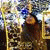 member yuliia_pri
