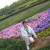yuxiaoting profile picture