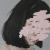 Zuhaloxp profile picture
