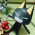member zenny254