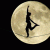 member zohoor