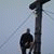 member zoltan_kis