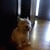 member zorica_jov