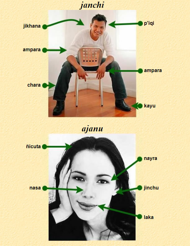 Aymara-body-parts.jpg