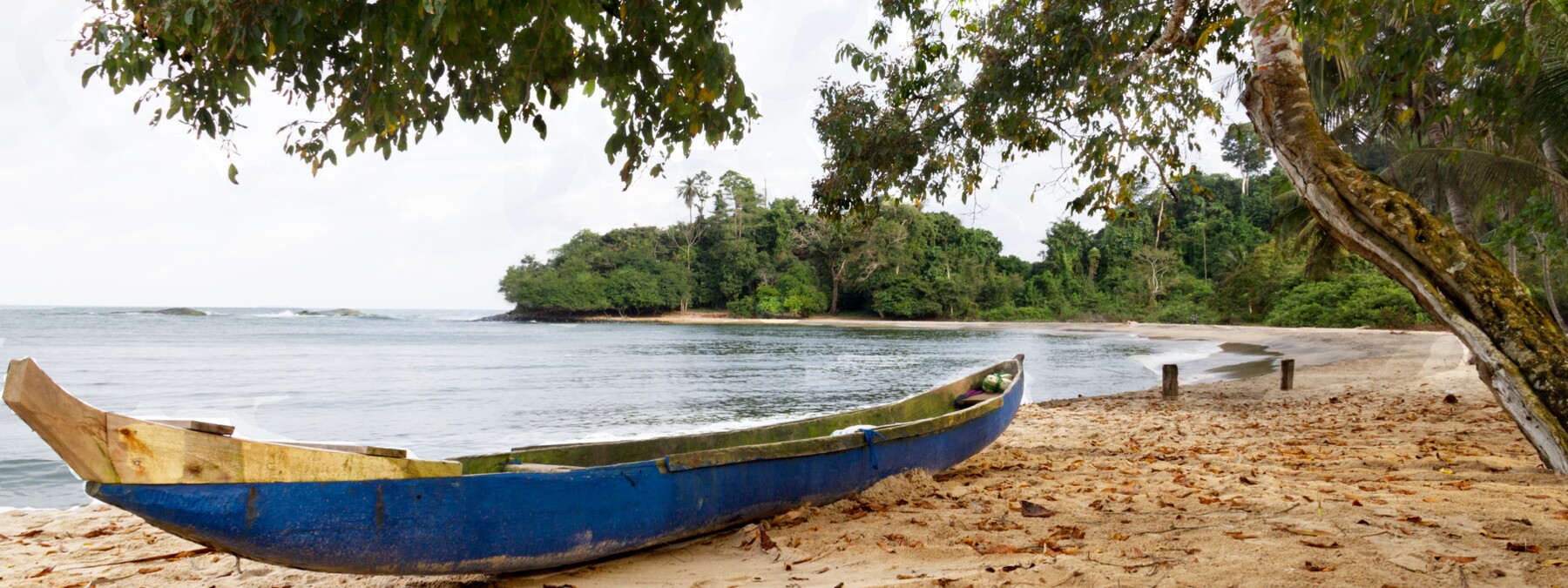 Ivory-Coast-Timeline-PolyglotClub.jpg