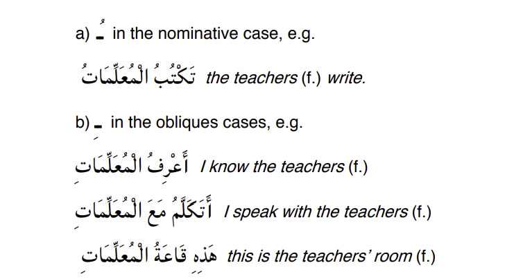 Arabic-Language-Sound Feminine Plural -PolyglotClub.jpg