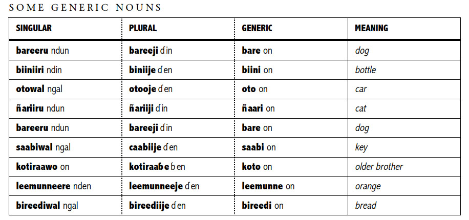 Pular-Language-Noun-Forms-PolyglotClub.jpg