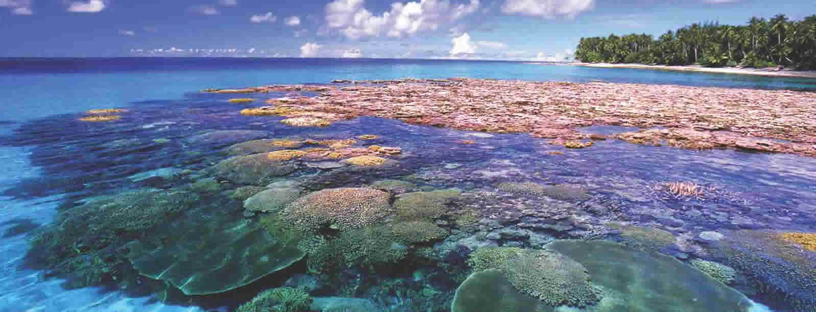 Marshall-Islands-Timeline-PolyglotClub2.jpg