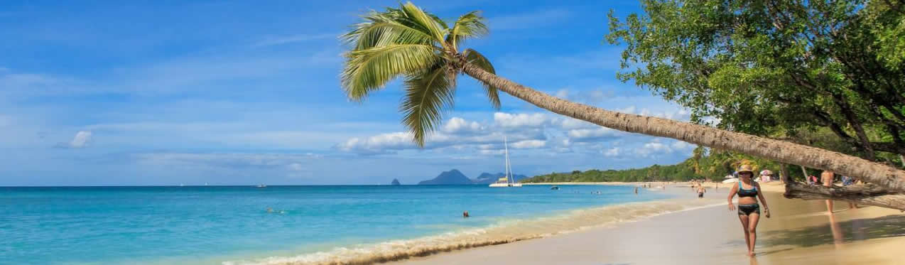 Martinique-Timeline-PolyglotClub.jpg