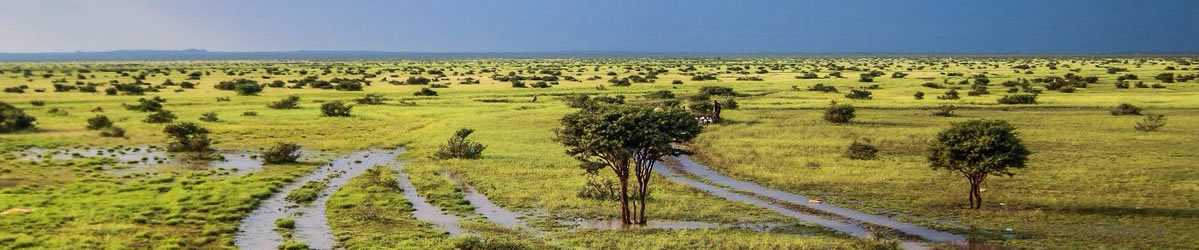 Somalia-Timeline-PolyglotClub.jpg