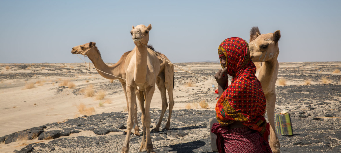 Eritrea-Desert-Timeline-PolyglotClub.jpg