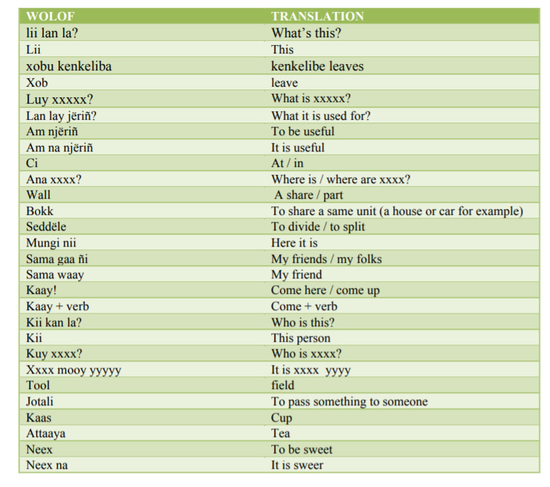 Wolof-Useful-Vocabulary-PolyglotClub.jpg