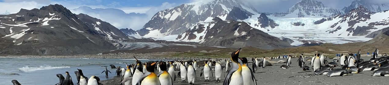 South-Georgia-South-Sandwich-Islands-Timeline-PolyglotClub.jpg
