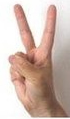 Two chinese hand.jpg