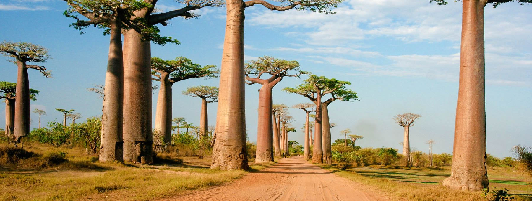 Madagascar-Timeline-PolyglotClub.jpg