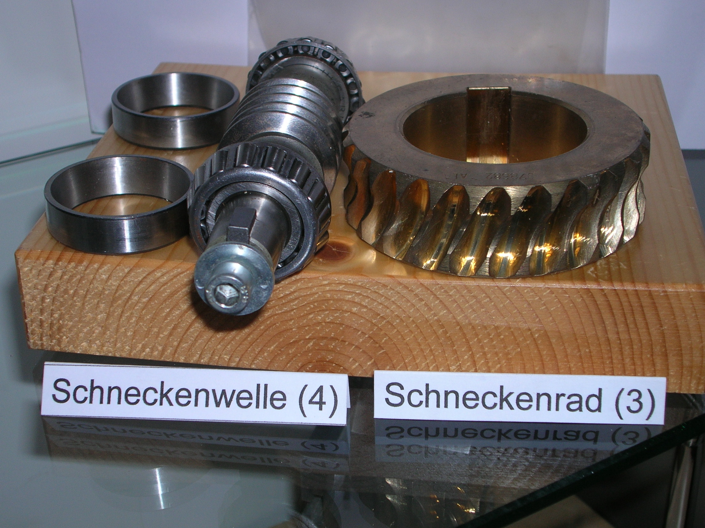 Schneckenrad Schneckenwelle.jpg