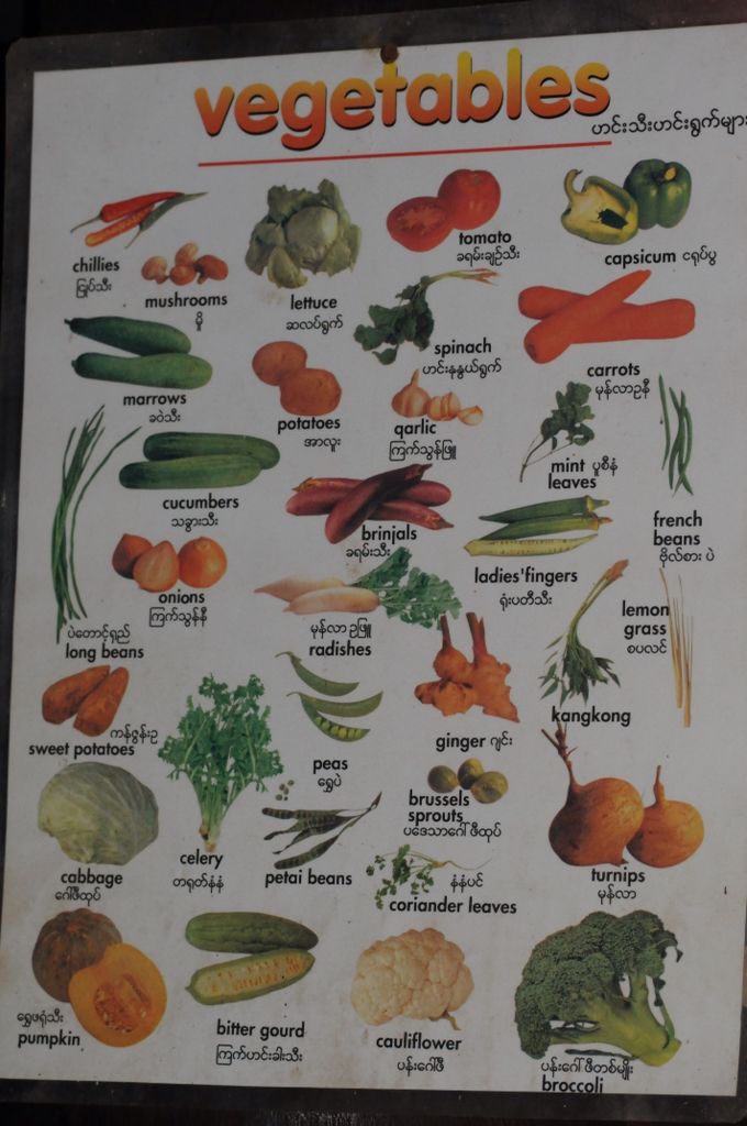 Fruit-names-in-burmese-polyglotclub.jpg