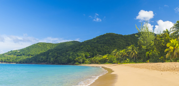 Beach-Guadeloupe-Timeline-PolyglotClub.jpg