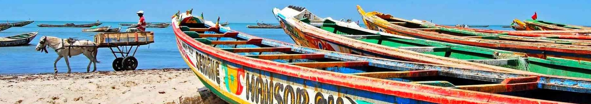 Senegal-Timeline-PolyglotClub.jpg