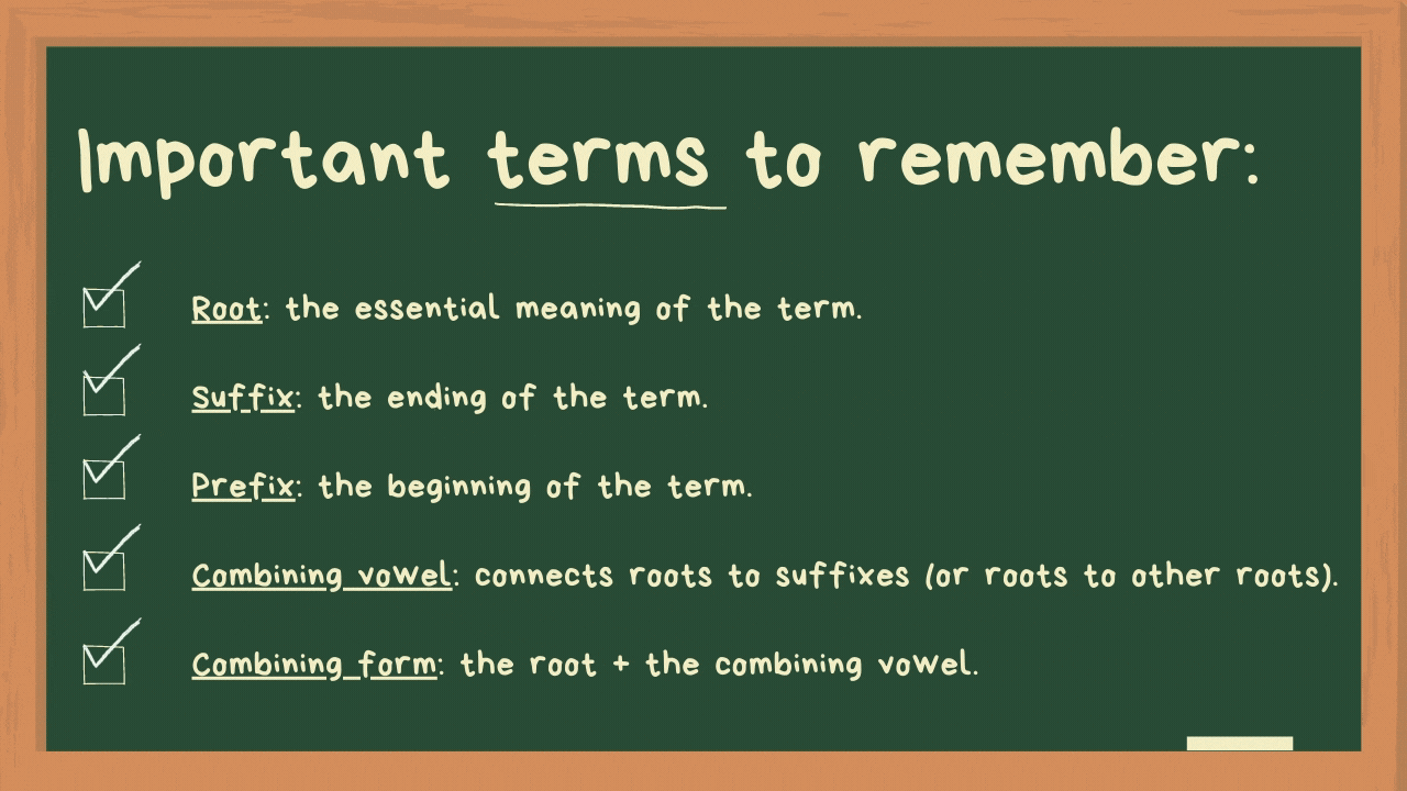 7cc575 9b849dccd1104491a2fb1e6ec4864a6e~mv2.gif