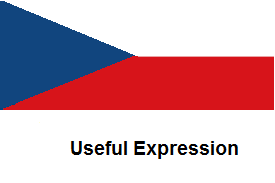 Useful Expression
