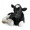 Calf2.png