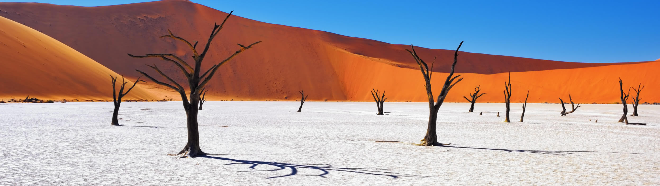 Namibia-Timeline-PolyglotClub.jpg