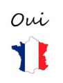 Learn french say yes.jpg