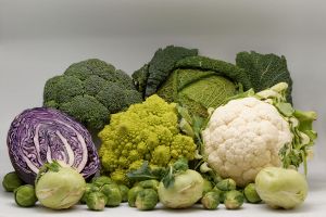 Cabbage-polyglotclub-wiki.jpg