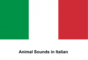 Animal Sounds in Italian