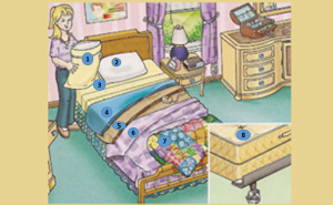Picture1.png