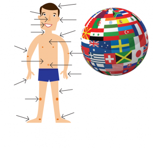 Body-vocabulary-in-many-languages.png