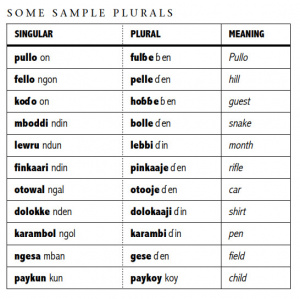 Pular-Language-Plural-PolyglotClub.jpg