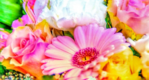 Flowers.jpg
