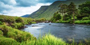 Nature-in-Ireland-polyglotclub-wiki.jpg