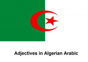 Adjectives in Algerian Arabic