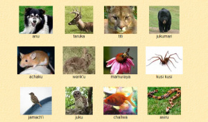 Aymara-animals.jpg