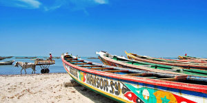 Polyglot-club-senegal-learn-languages.jpg