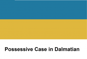 Possessive Case in Dalmatian