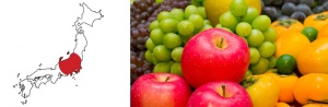 Japanese-fruits.jpg