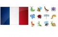 Les-insectes-vocabulaire-français.jpg