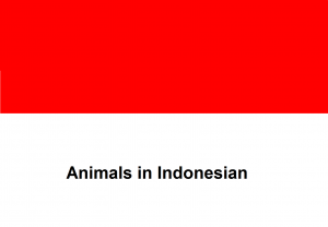 Animals in Indonesian
