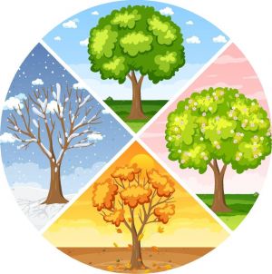 The-4-seasons-polyglotclub.jpg