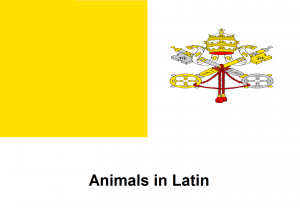 Animals in Latin